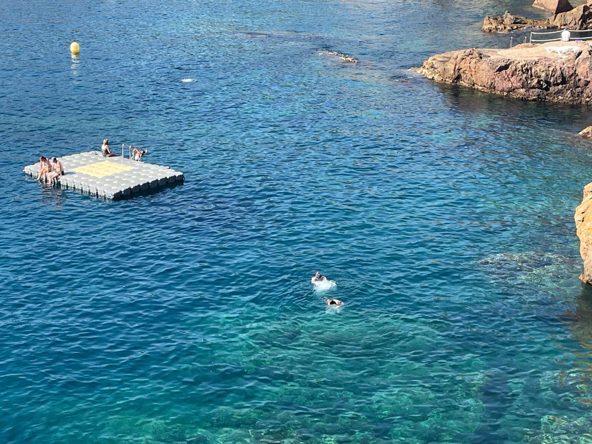 Apartment In Cap Sa Sal Begur Εξωτερικό φωτογραφία